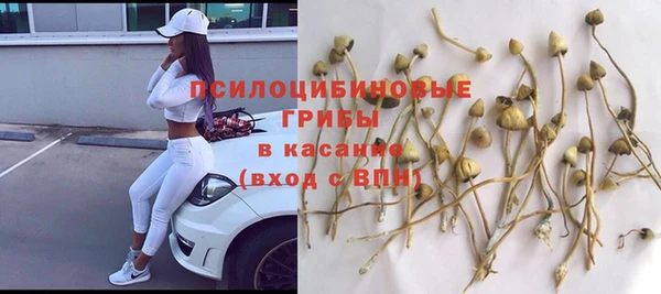 PSILOCYBIN Лабытнанги