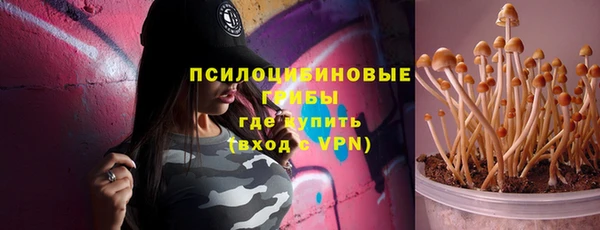 соль курить ск Алзамай