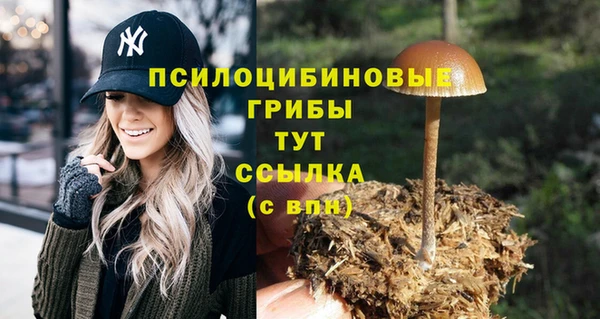 таблы Заводоуковск