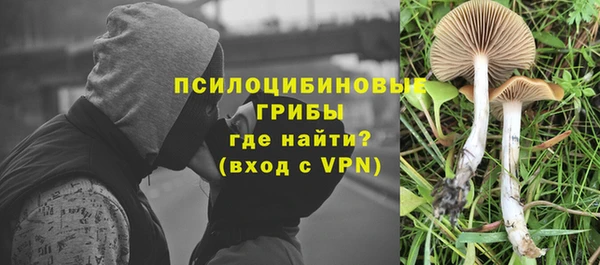 скорость Заволжск