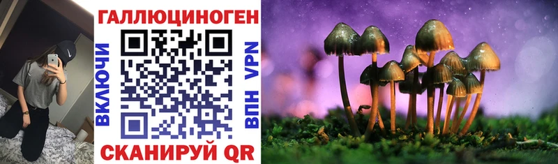Галлюциногенные грибы прущие грибы  цена   Грязовец 